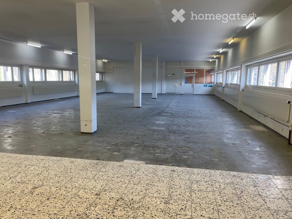 empty large room, concrete floor, white pillars, windows on 3 walls