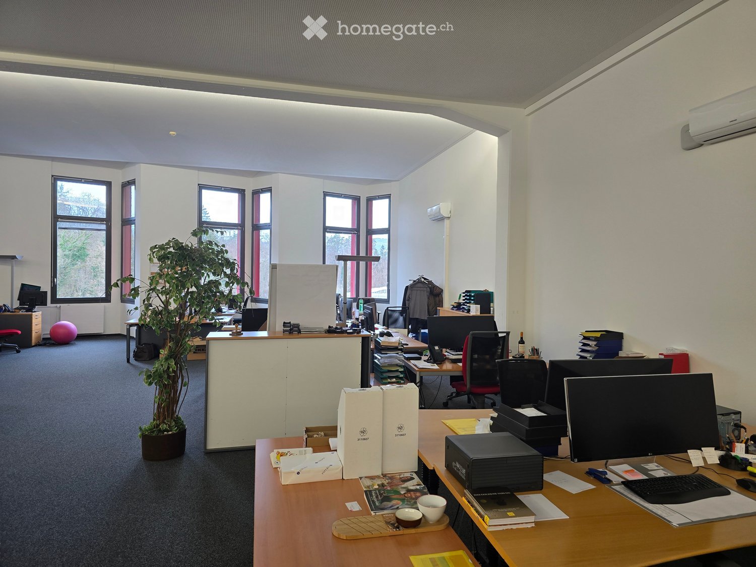 Empty office space, several desks, chairs, and monitors, white walls, potted plant in the corner, carpeted floor.