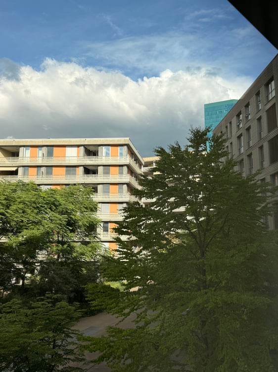 Charmante 4.5-Zimmer-Wohnung im Herzen von Zürich West 12