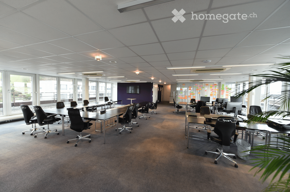 Furnished Room. Open-plan office space with multiple desks, chairs, and a large screen on the wall. Natural light from large windows and a potted plant add to the modern aesthetic.