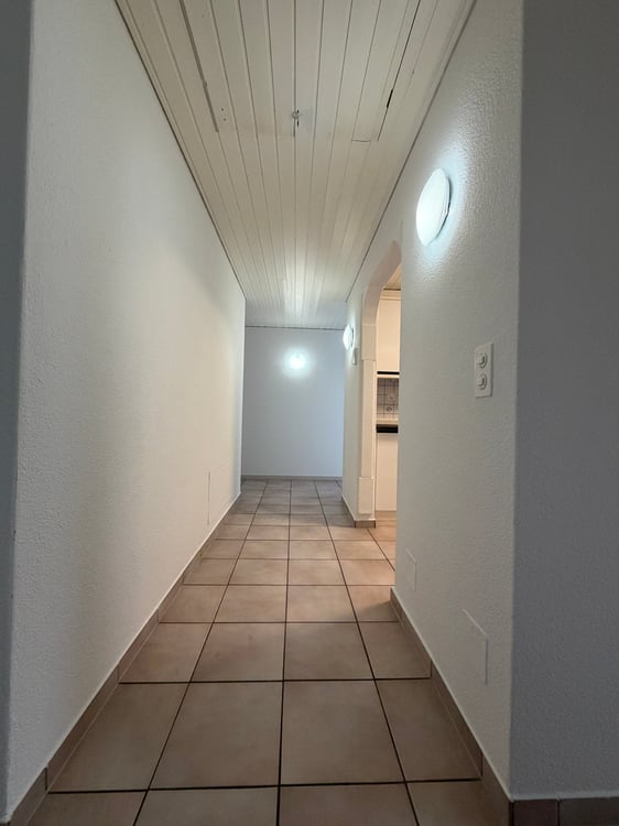 Helle 5.5-Zimmer-Dachwohnung mit Balkon und Garage in Reinach AG – ab sofort verfügbar! 3