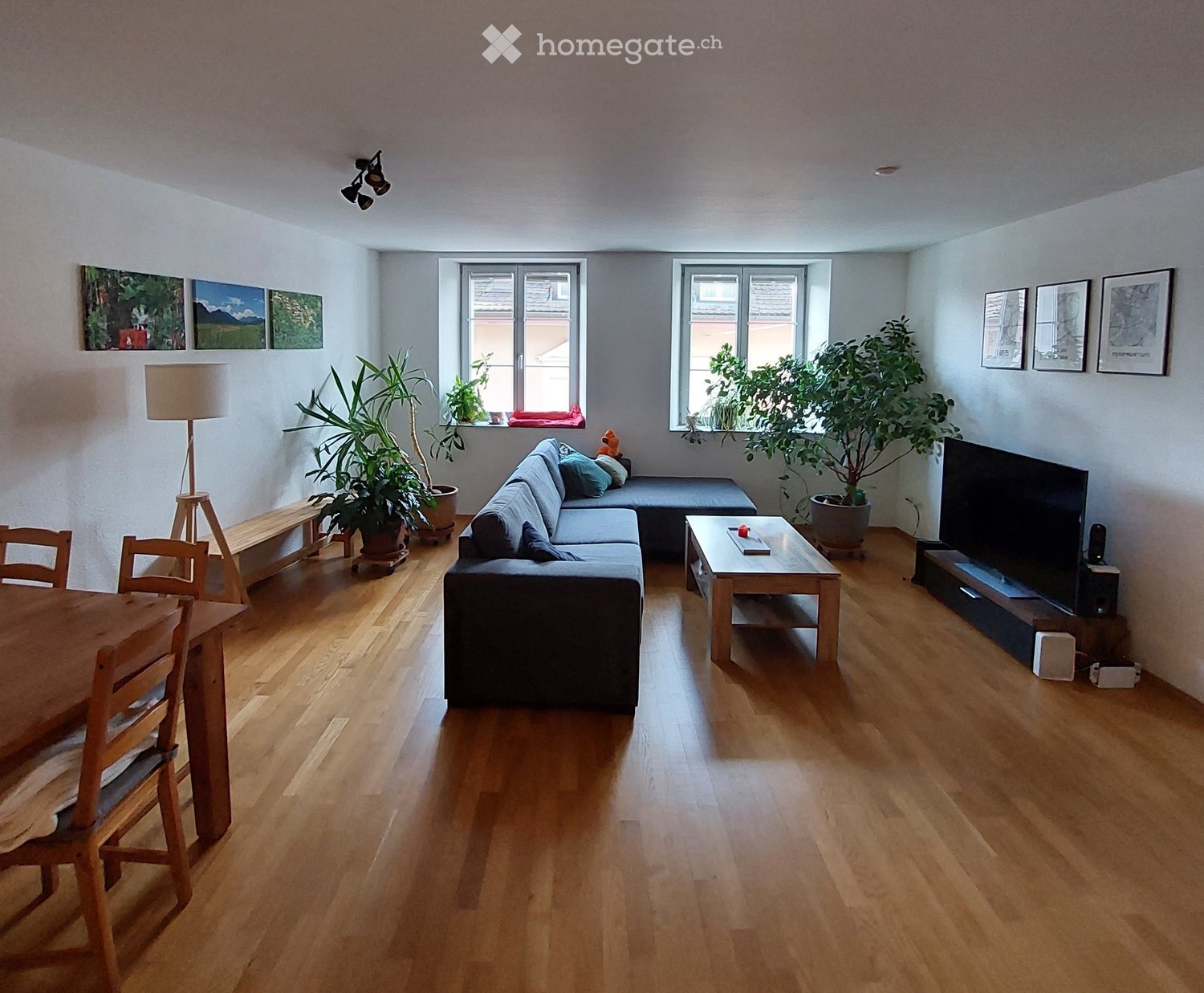 Living Room. Bright living room with wooden flooring, large windows, a grey sofa, coffee table, dining table with chairs, floor lamp, and potted plants.