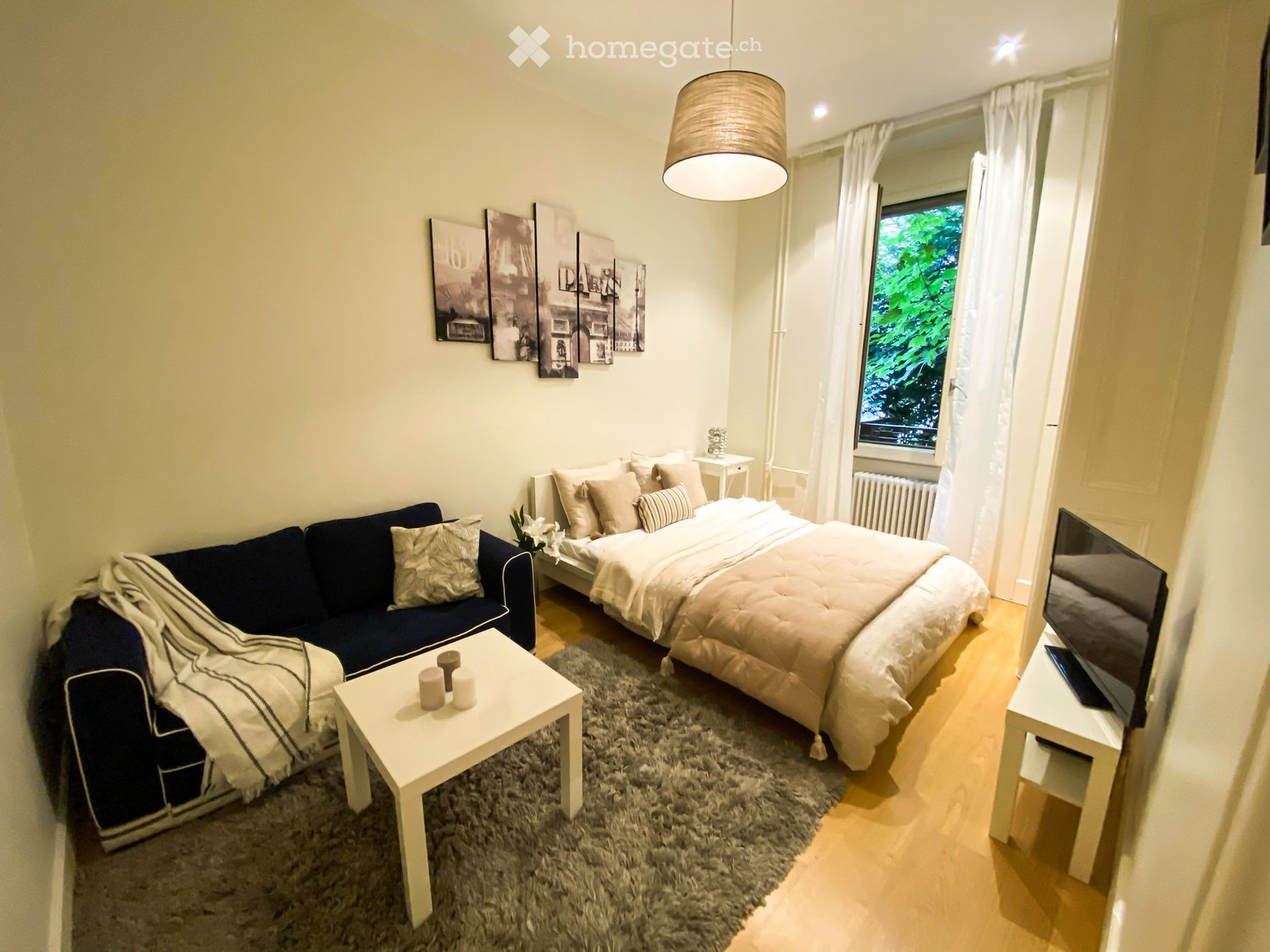 Furnished Room. A modern, compact living space with a sofa, bed, coffee table, and television, featuring a large window with white curtains and a hanging lamp.