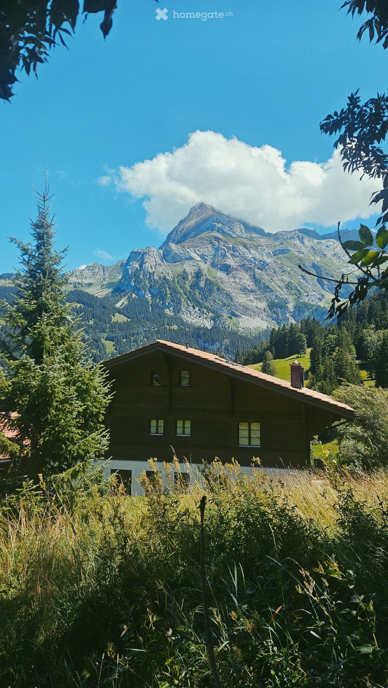 Wooden chalet style house with a mountain view, chimney, windows with white frames