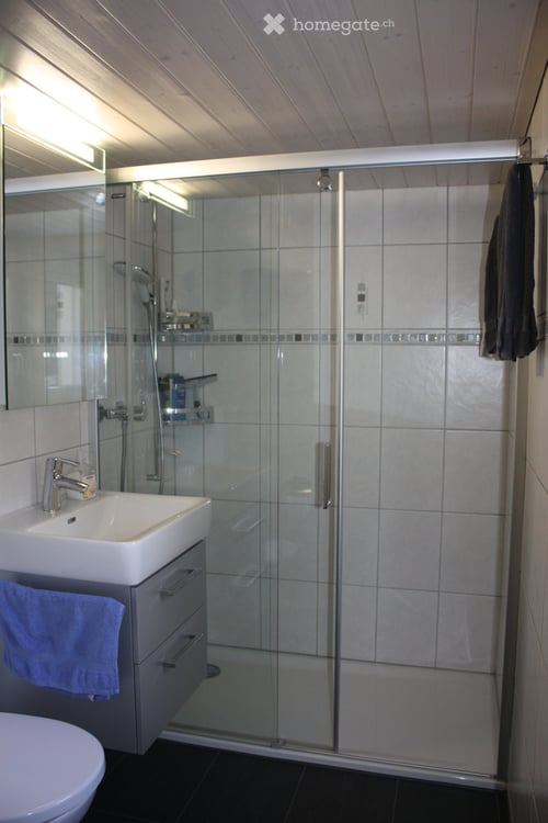 Schöne, renovierte 4.5 Zimmer-Wohnung mit Grillplatz und Parkplatz 6