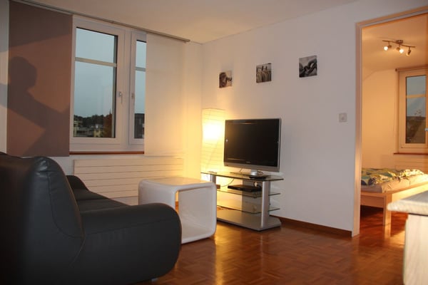 Attraktive 3-Zi Dachwohnung in Altbau an guter Lage 2