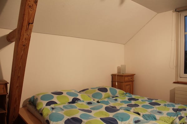 Attraktive 3-Zi Dachwohnung in Altbau an guter Lage 4