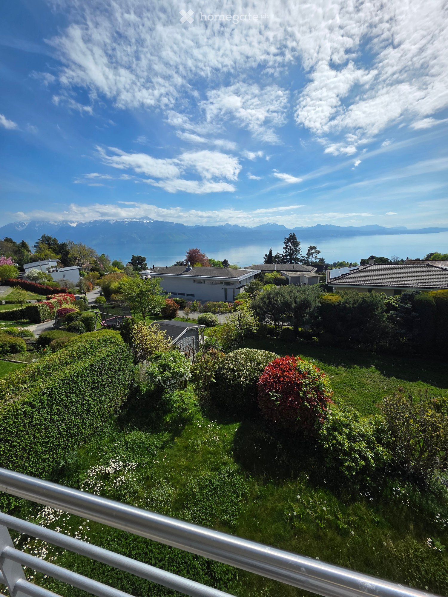 Garden with various plants and bushes, a lake and mountains in the background
