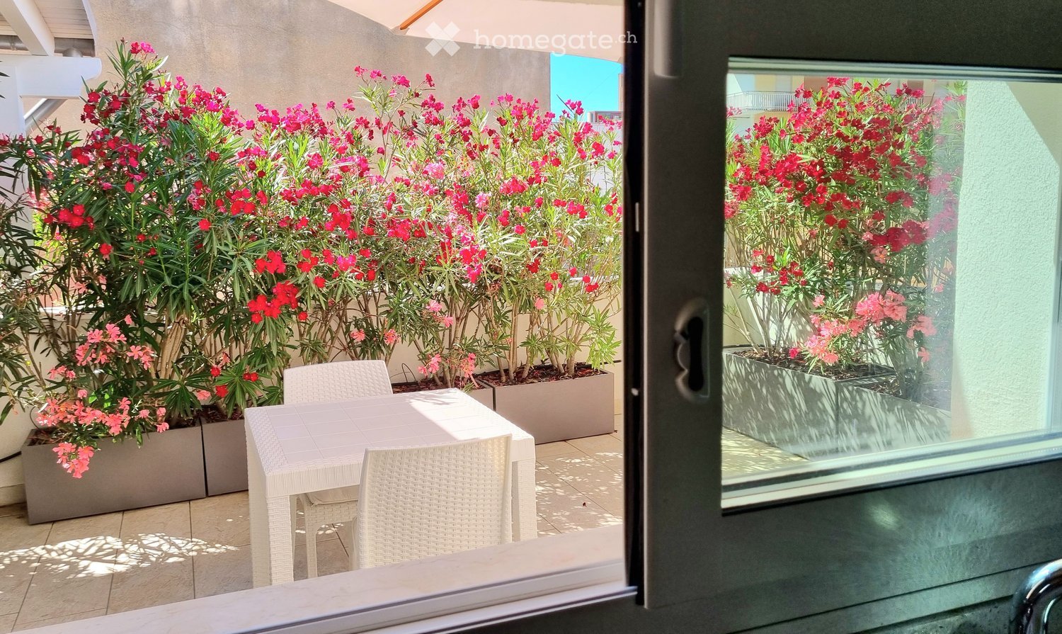 Balcony / Terrace. Balcony with white wicker furniture, a table, and chairs, surrounded by potted plants with pink and red flowers.