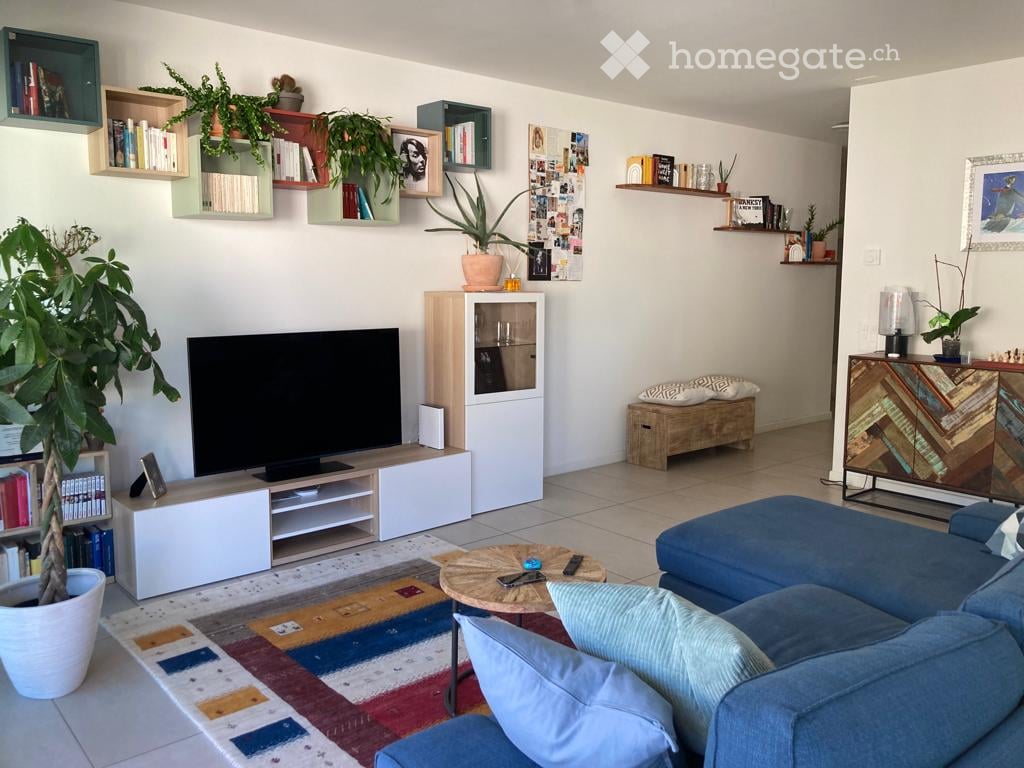 Living Room. Modern living room with a blue sectional sofa, coffee table, television, bookshelves, and decorative plants.