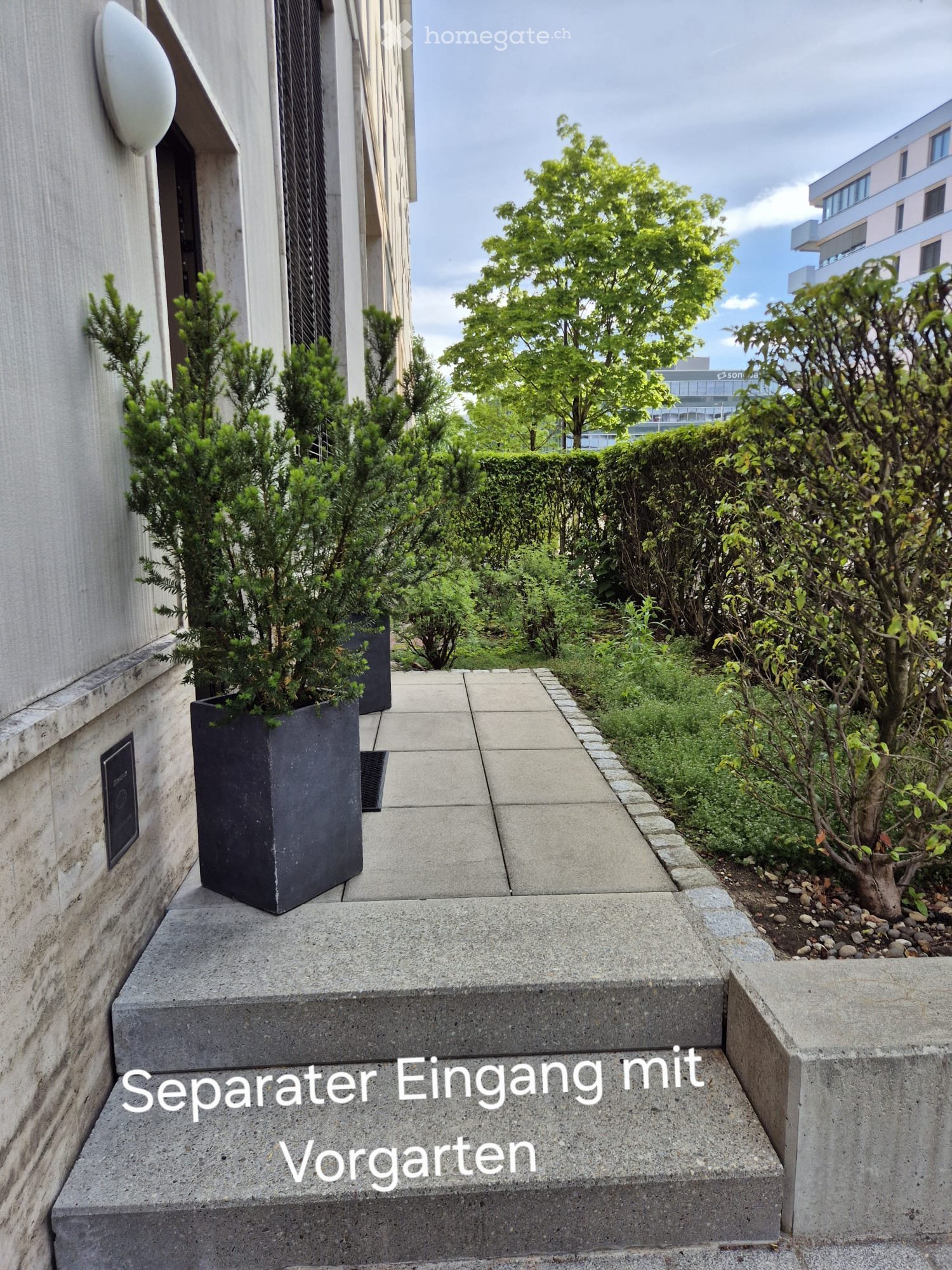 Garden / Outdoor Area. A modern concrete pathway leads to a building entrance, flanked by neatly trimmed shrubs and potted plants in sleek black containers. The area is clean and well-maintained, with a contemporary design.