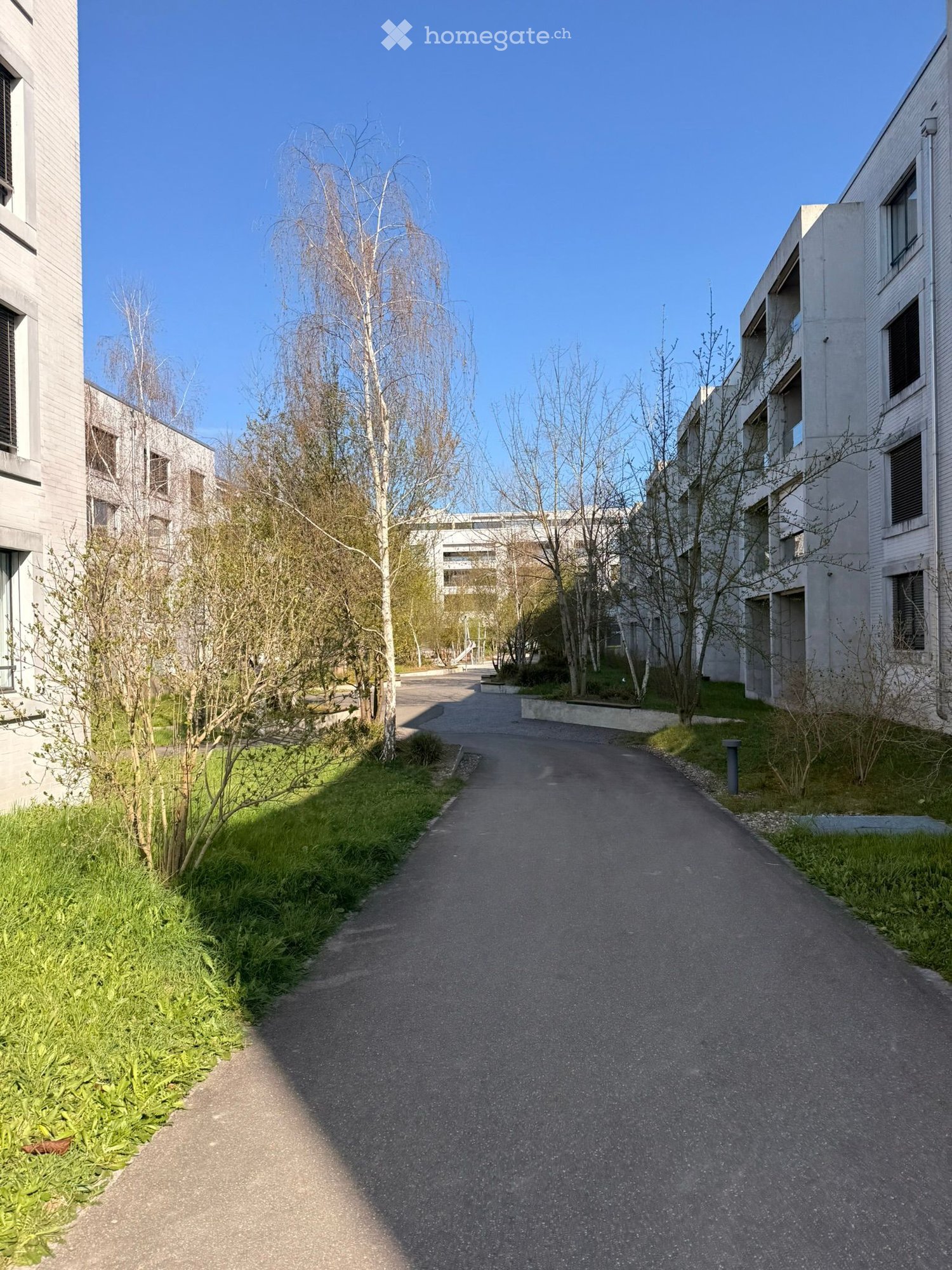A concrete pathway between two rows of buildings, with trees and grass on both sides.