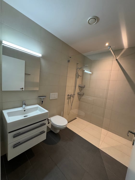 moderne 2.5-Zimmer-Wohnung mit Garten 4