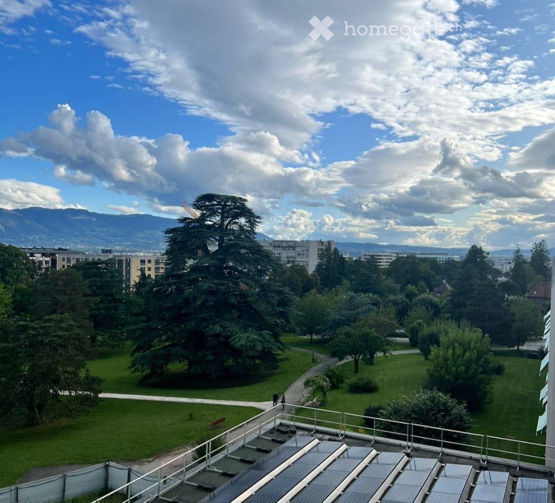 Balcony / Terrace. Balcony with a view of a park, trees, and distant mountains under a partly cloudy sky.