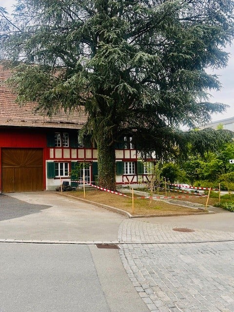 Building. Two-story building with red and white facade, large garage door, green shutters, and a large tree in front.