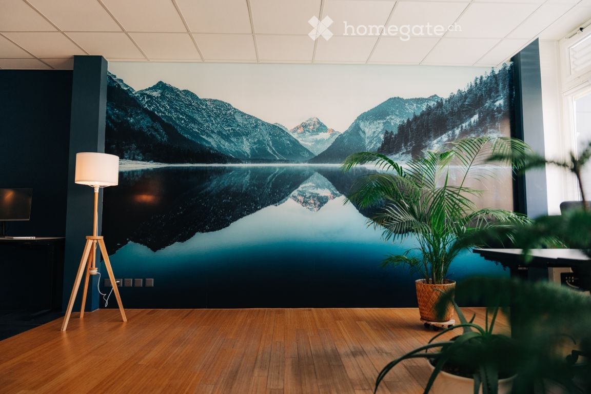 Furnished Room. A modern, minimalist room with a large mountain mural on one wall, a wooden floor, a floor lamp, and a potted plant.