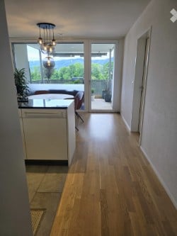 3.5-Zimmer-Eigentumswohnung mit Rheinbl…