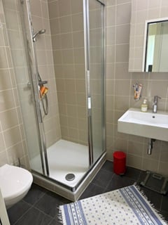 Magnifique appartement en attique 4 pièces Thônex terrasse sur le toit  – disponible Fin Septembre 7