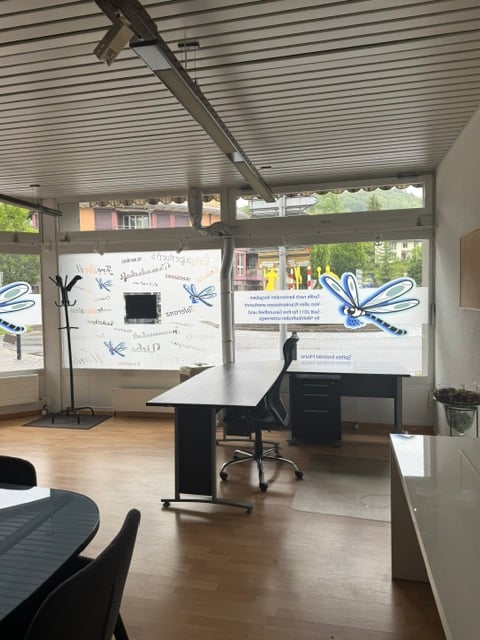 Helles Ladenlokal / Bürofläche an der Kantonsstrasse 40 in Horw 2