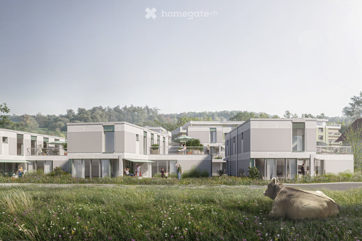 Building. Modern residential complex with multiple buildings, balconies, and outdoor seating areas, surrounded by a grassy field with a cow resting in the foreground.