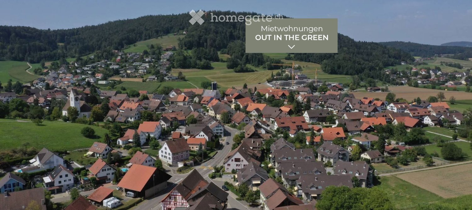 Cluster of traditional German houses, hilly terrain, surrounded by trees and green fields, visible road, mountain in the distance.