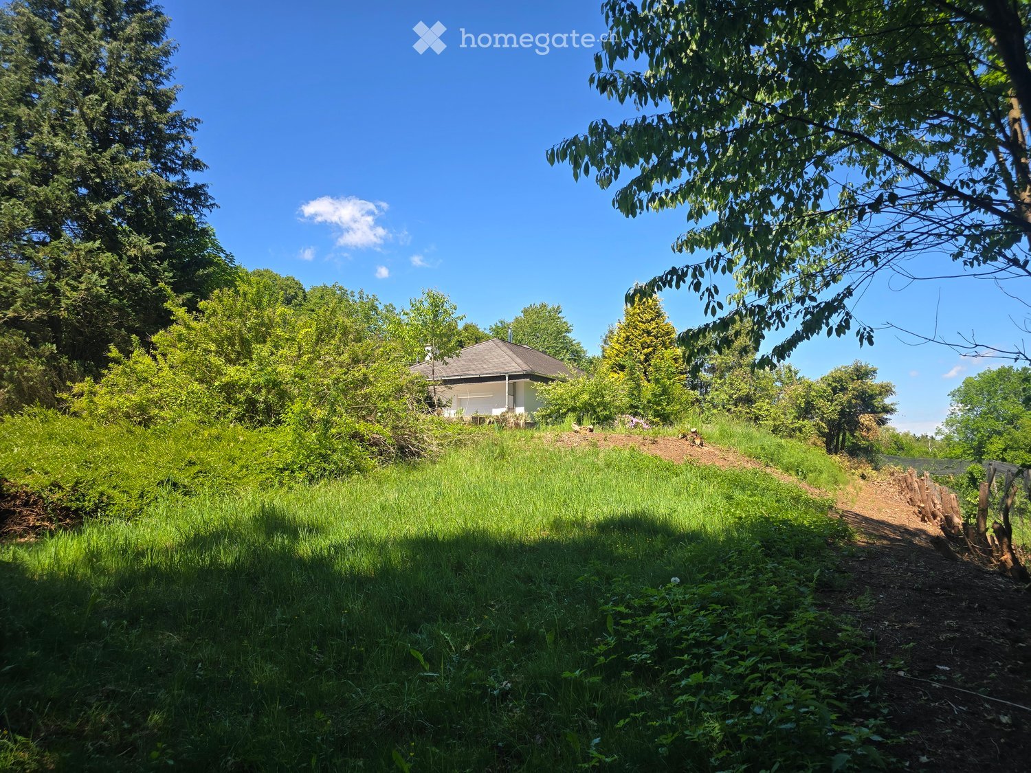 Garden / Outdoor Area. A grassy hillside with a small house partially obscured by trees and shrubs, surrounded by a lush green landscape under a clear blue sky.