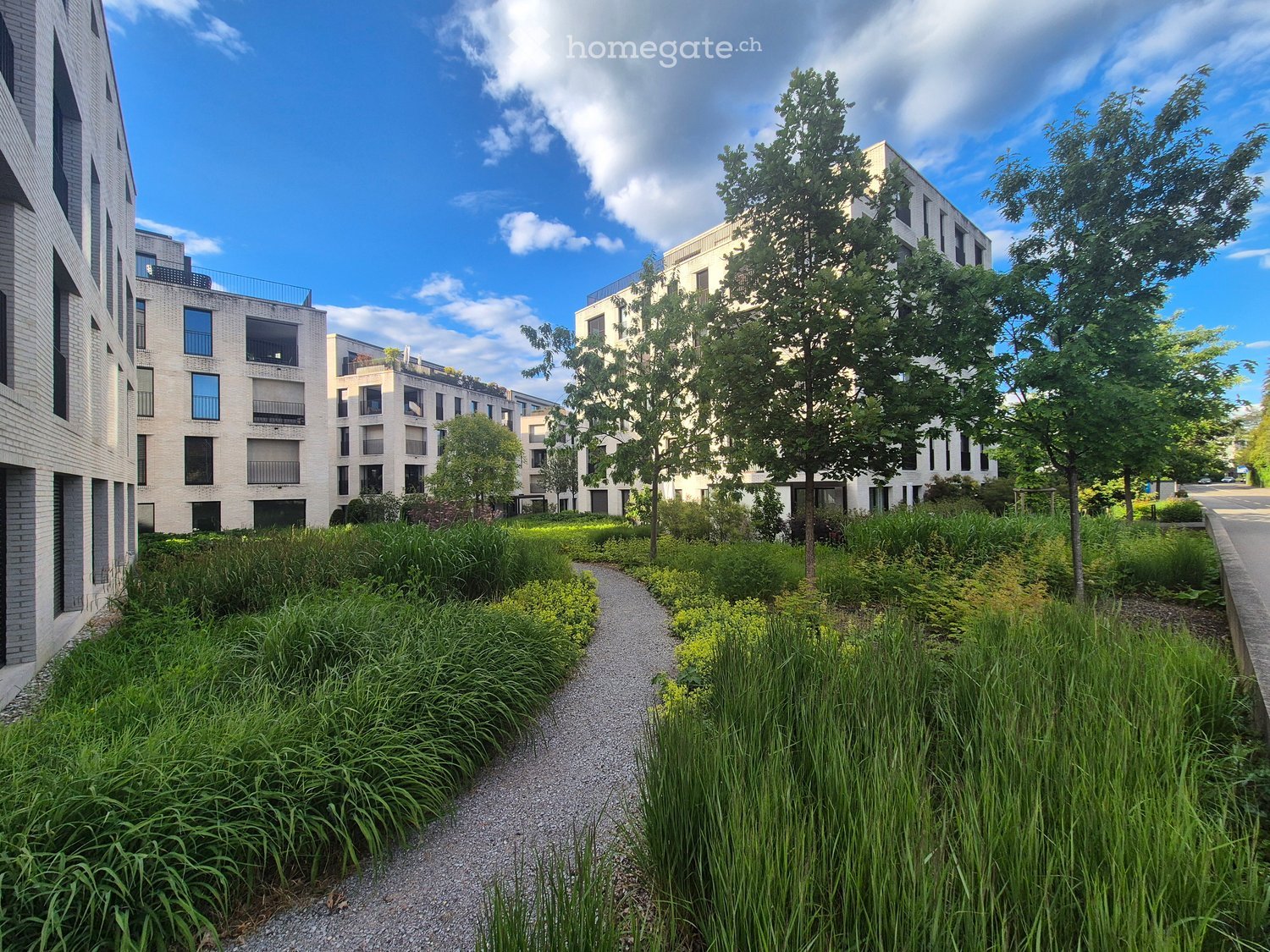 Garden / Outdoor Area. A landscaped garden area with tall grasses, trees, and a gravel pathway leading to modern apartment buildings.