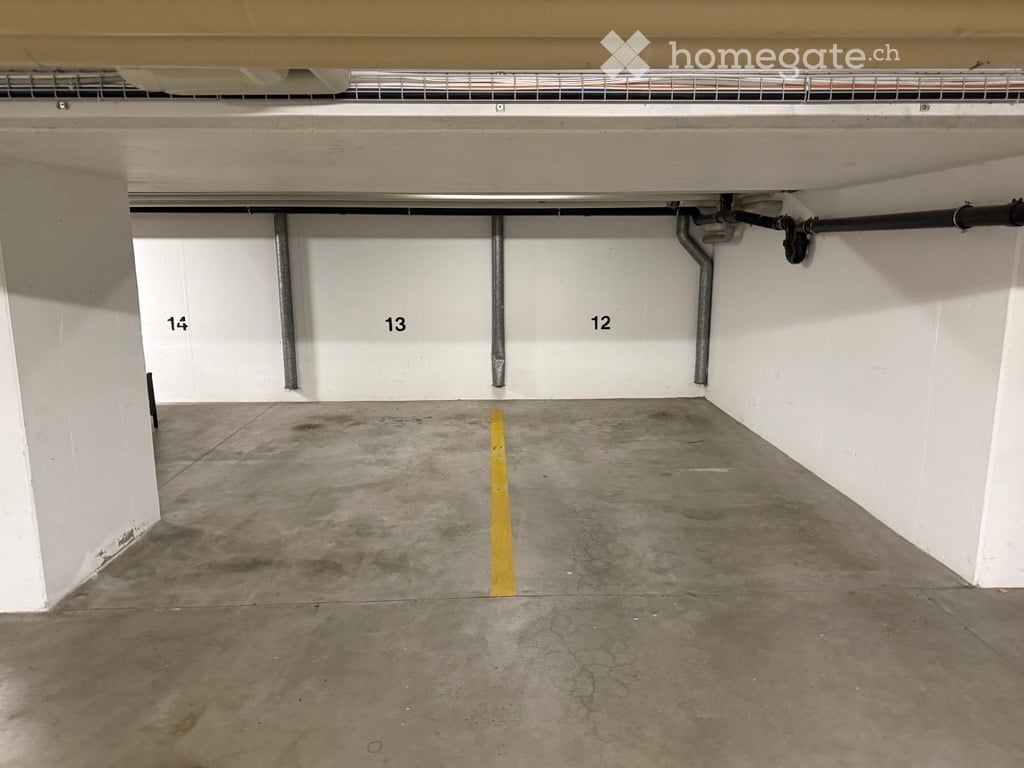 Other. {"visible_features": ["Garage"], "type": "Garage", "objects": [], "description": "Empty underground parking garage with numbered parking spaces and concrete floors.", "localized_descriptions": {"EN": "Empty underground parking garage with numbered
