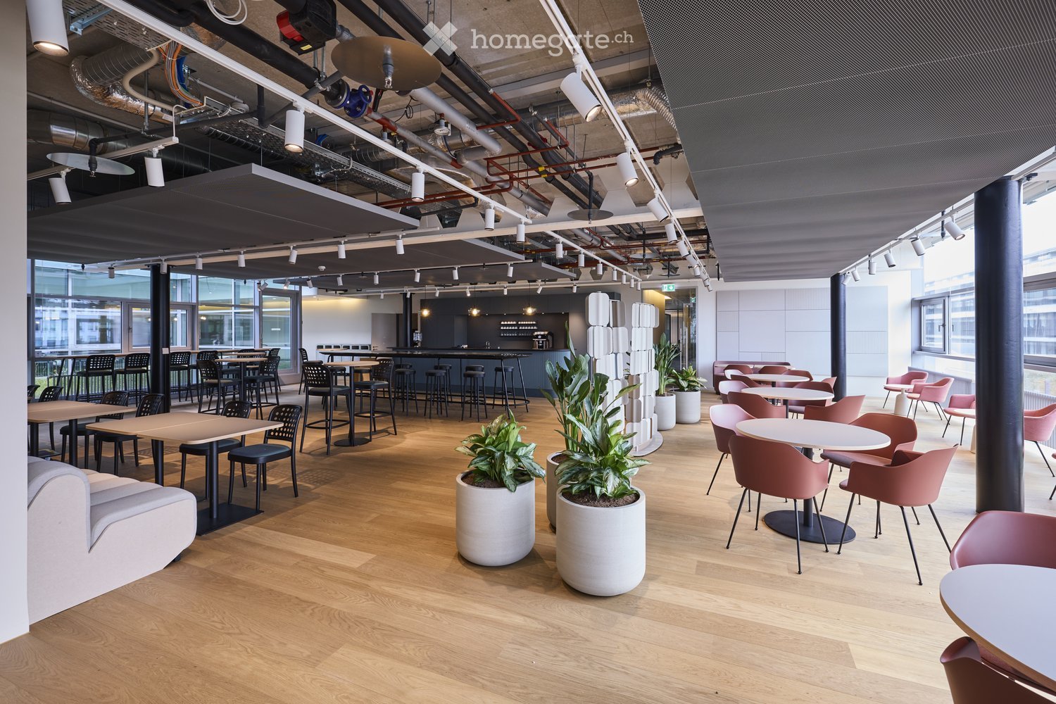 Furnished Room. Modern restaurant or lounge area with wooden flooring, white tables, pink chairs, and potted plants.