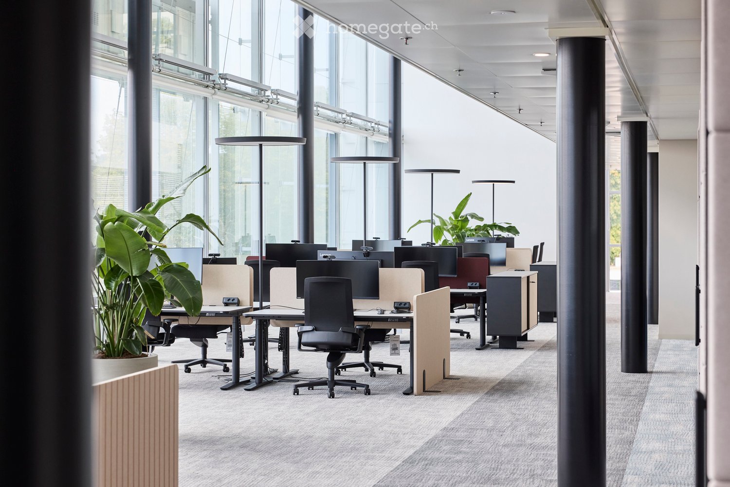 Modern office space with desks, chairs, computer screens, and large potted plants, illuminated by natural light from large windows.