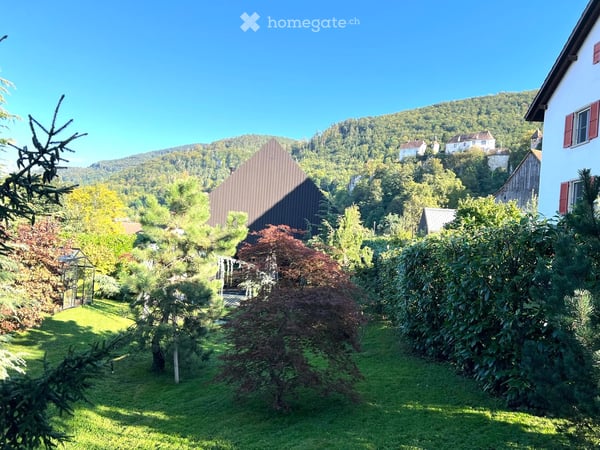 Burg im Leimental