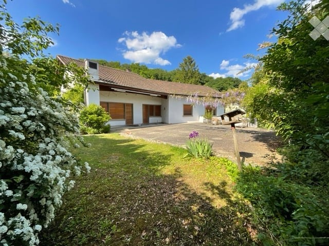Single-story house with a tiled roof, white exterior, and large windows. The house is surrounded by greenery, with a driveway and garden area visible.