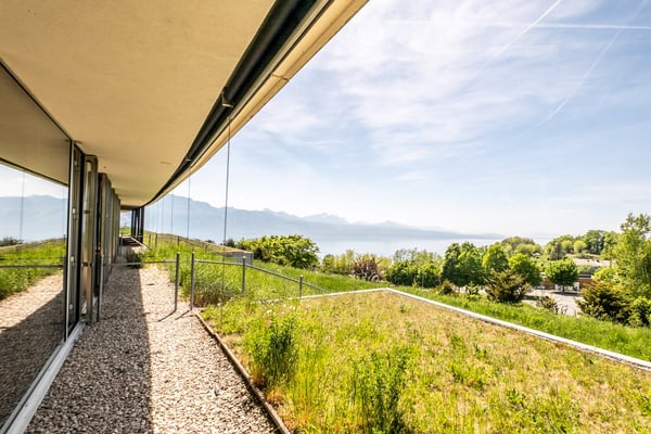 Magnifique appartement de 6.5 pièces avec vue à Aran 9