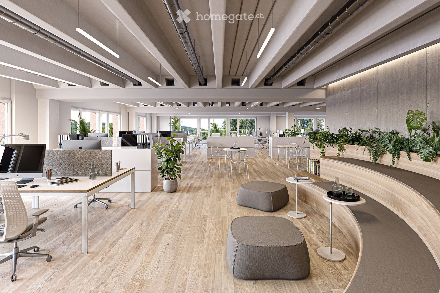 open space office with wooden floor, white desks, white chairs, plants, benches, round tables