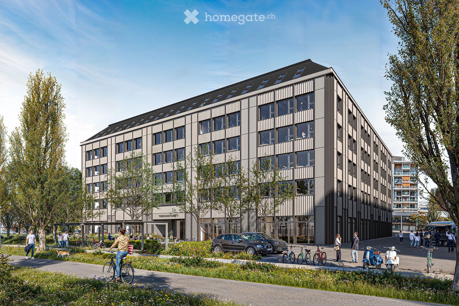 Gray office building with glass windows, 5 floors, green parking area in front of the building, bikes parked, few cars parked, trees on both sides