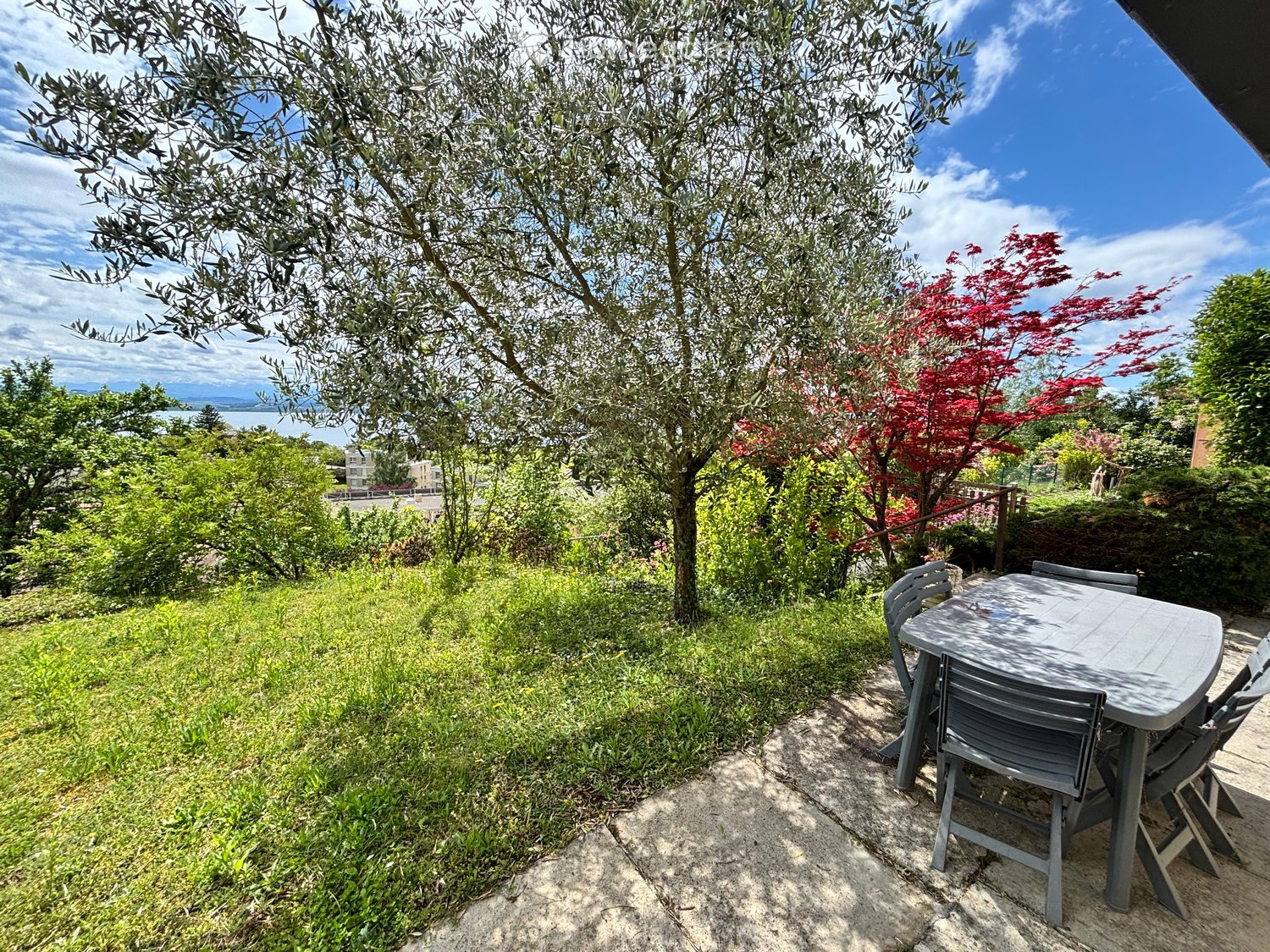 Outdoor patio with a table and chairs, surrounded by greenery and trees, overlooking a scenic view.