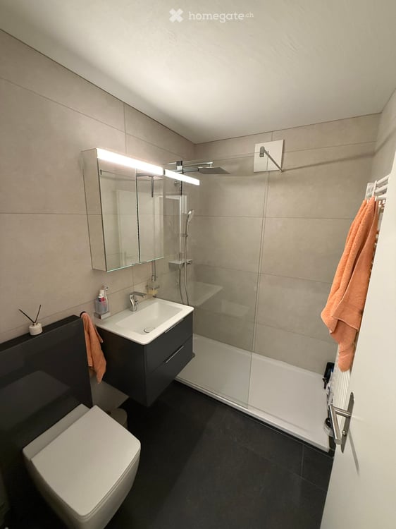 Moderne 3.5-Zimmer-Wohnung mit Balkon in Affoltern am Albis – sofort verfügbar! 6