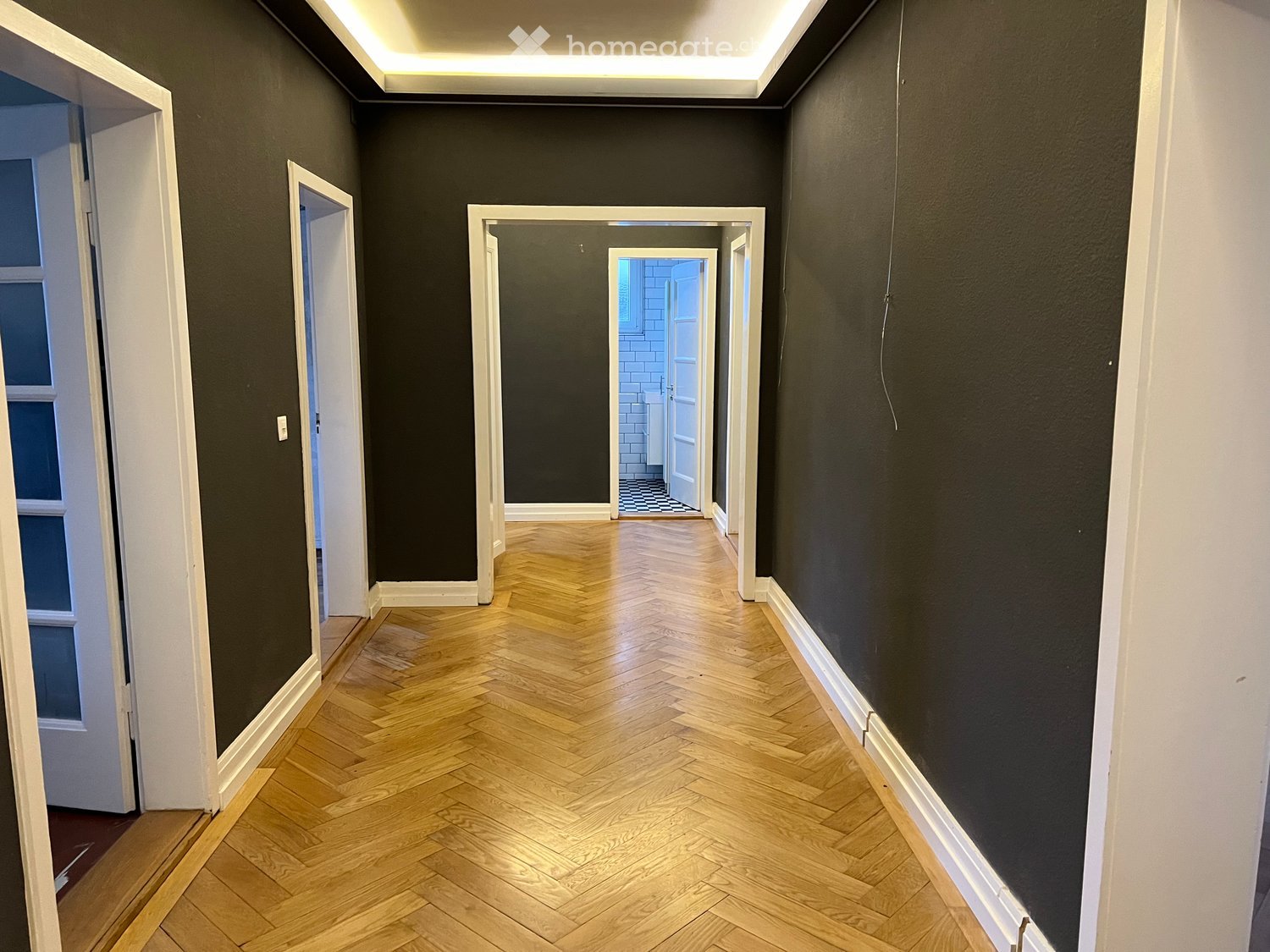 Corridor / Hallway. A long, narrow hallway with dark grey walls, herringbone wooden flooring, and several white-framed doors leading to other rooms.