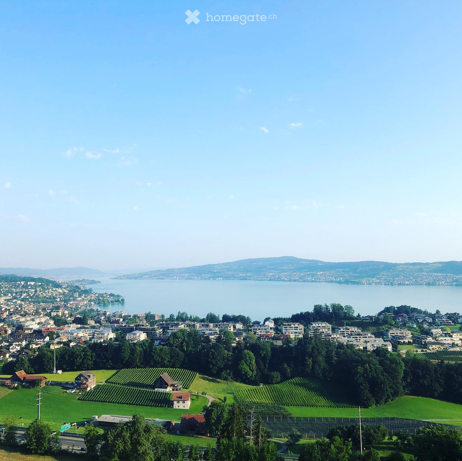 Aerial view of a green landscape with a lake, mountains, and a town in the distance
