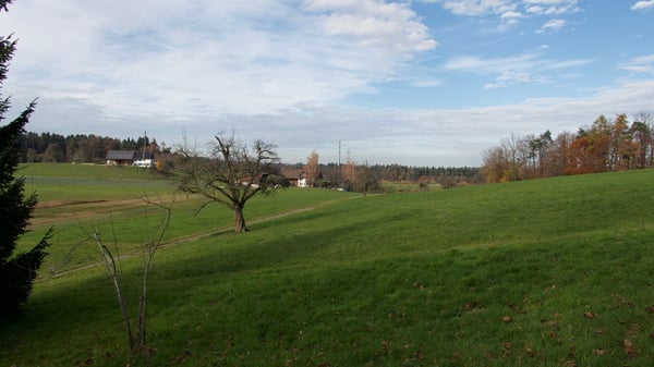 Historisches Bauernhaus Drittenberg mit Charme und Weitblick in Egg bei ZH 12