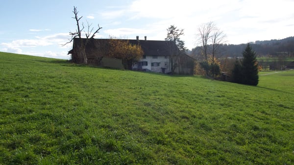 Historisches Bauernhaus Drittenberg mit Charme und Weitblick in Egg bei ZH 3
