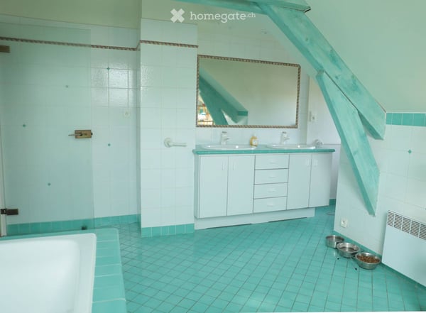 Maison individuelle à Saint Amour 11