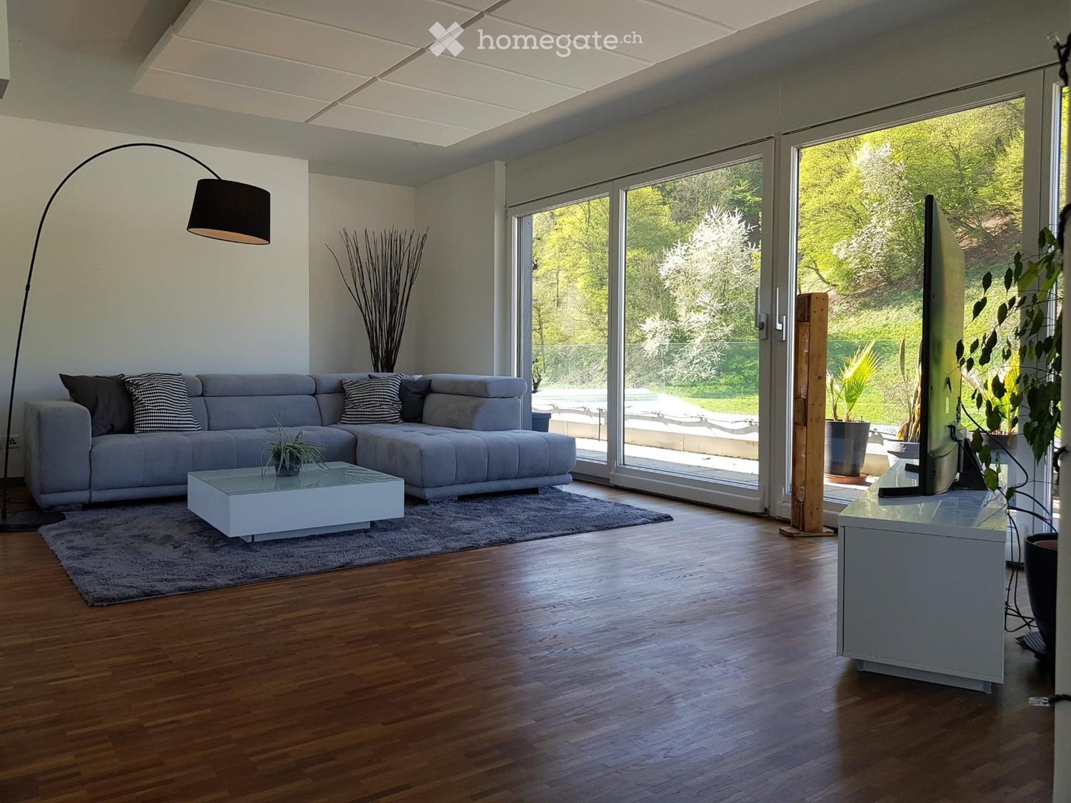 Modern living room with large windows offering a view of greenery, featuring a grey sectional sofa, white coffee table, floor lamp, and television on a stand.
