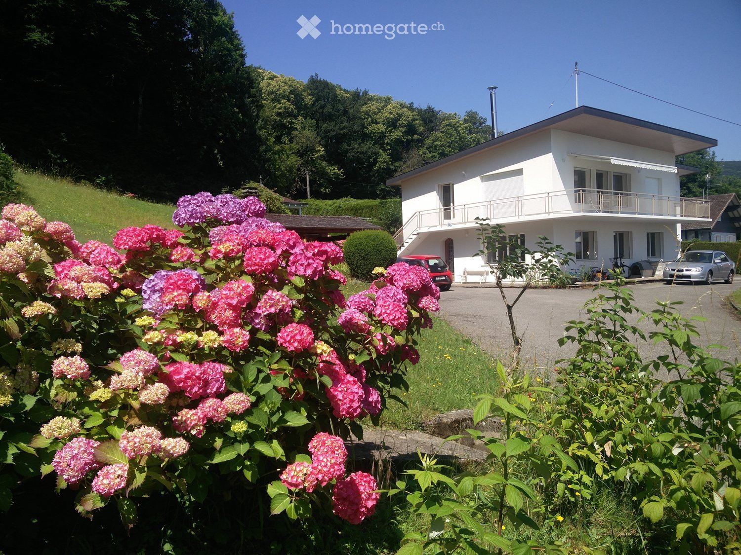 Two-story white house with a balcony, surrounded by greenery and colorful flowers, with a driveway and parked cars.