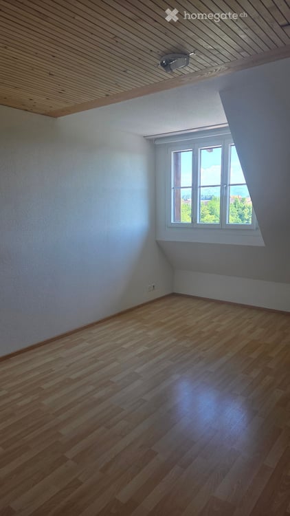Grosszügige 6.5-Zimmer Wohnung an ruhiger Lage in Maschwanden 4