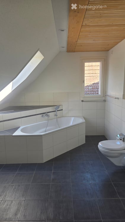 Grosszügige 6.5-Zimmer Wohnung an ruhiger Lage in Maschwanden 10