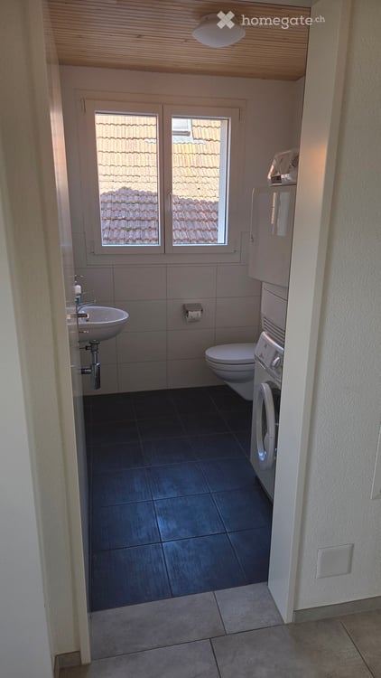 Grosszügige 6.5-Zimmer Wohnung an ruhiger Lage in Maschwanden 9