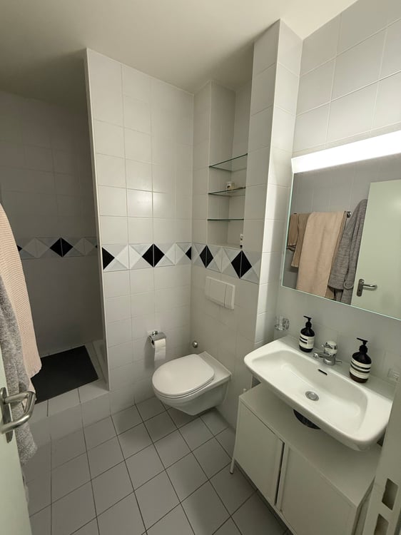 Lease Takeover:  Charming 5-Room Apartment with Balcony & Beautiful Views in Geneva's Eaux-Vives 12