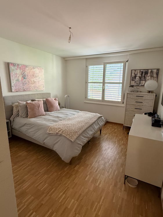 Lease Takeover:  Charming 5-Room Apartment with Balcony & Beautiful Views in Geneva's Eaux-Vives 8