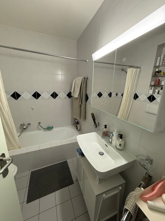 Lease Takeover:  Charming 5-Room Apartment with Balcony & Beautiful Views in Geneva's Eaux-Vives 5